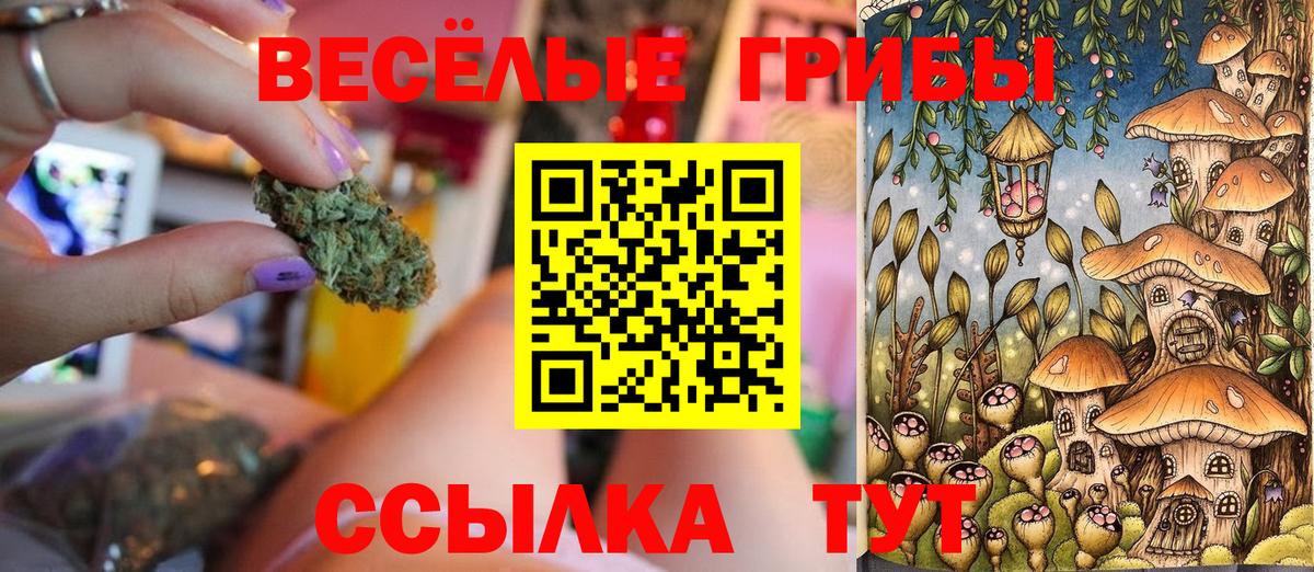 Псилоцибиновые грибы мухоморы Снежинск